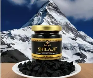 pot de shilajit pur